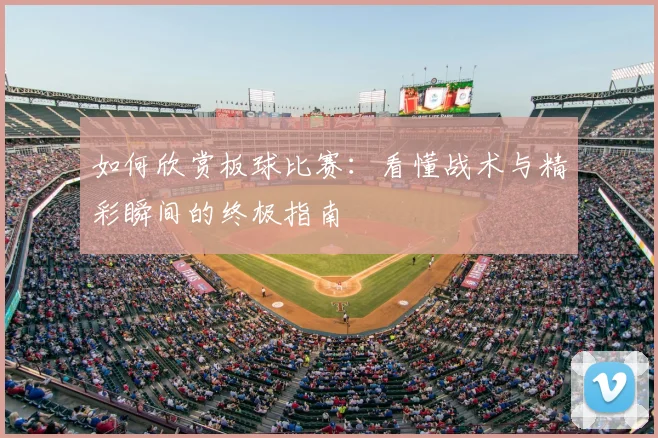 如何欣赏板球比赛：看懂战术与精彩瞬间的终极指南