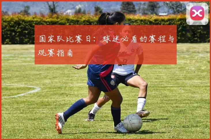 国家队比赛日：球迷必看的赛程与观赛指南